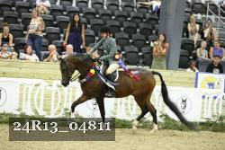 24R13_04811 thumbnail