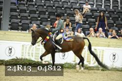 24R13_04812 thumbnail