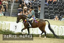 24R13_04813 thumbnail