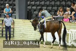 24R13_04814 thumbnail