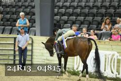 24R13_04815 thumbnail