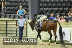 24R13_04816 thumbnail