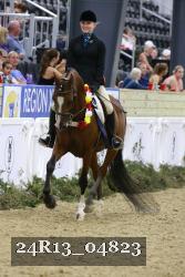 24R13_04823 thumbnail