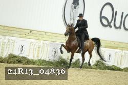 24R13_04836 thumbnail