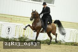 24R13_04837 thumbnail
