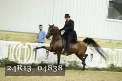 24R13_04838 thumbnail