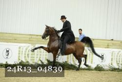 24R13_04839 thumbnail