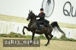 24R13_04844 thumbnail