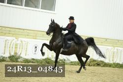 24R13_04845 thumbnail