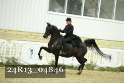 24R13_04846 thumbnail