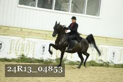 24R13_04853 thumbnail