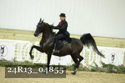 24R13_04855 thumbnail