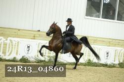 24R13_04860 thumbnail