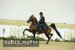 24R13_04861 thumbnail