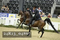 24R13_04867 thumbnail