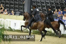 24R13_04868 thumbnail