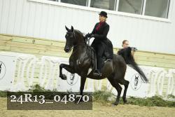 24R13_04870 thumbnail