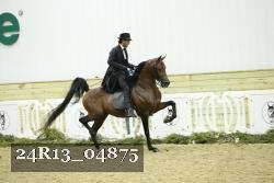 24R13_04875 thumbnail