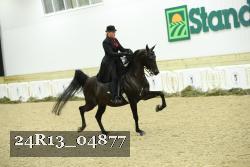 24R13_04877 thumbnail