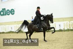 24R13_04878 thumbnail