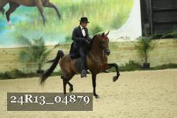 24R13_04879 thumbnail