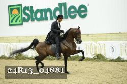 24R13_04881 thumbnail