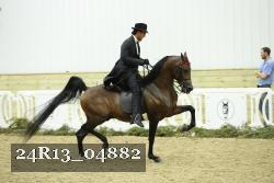 24R13_04882 thumbnail