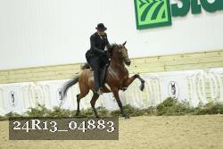 24R13_04883 thumbnail