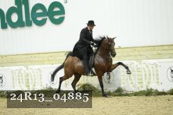 24R13_04885 thumbnail