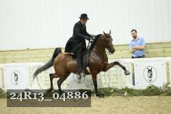 24R13_04886 thumbnail