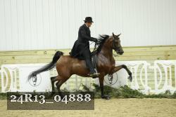24R13_04888 thumbnail