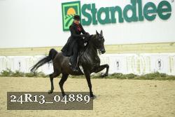 24R13_04889 thumbnail