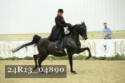 24R13_04890 thumbnail