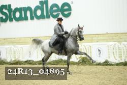 24R13_04895 thumbnail