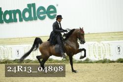 24R13_04898 thumbnail