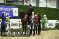 24R13_04911 thumbnail