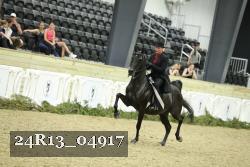 24R13_04917 thumbnail