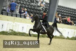24R13_04918 thumbnail
