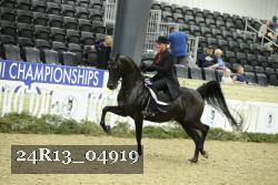 24R13_04919 thumbnail