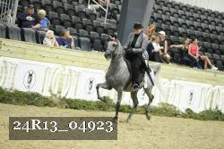 24R13_04923 thumbnail