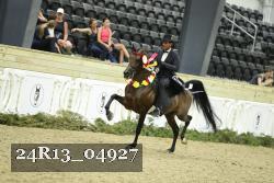 24R13_04927 thumbnail