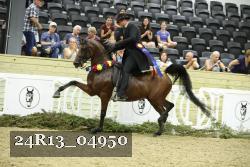 24R13_04950 thumbnail