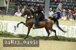 24R13_04951 thumbnail