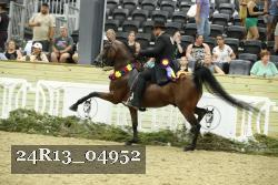 24R13_04952 thumbnail