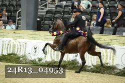 24R13_04953 thumbnail