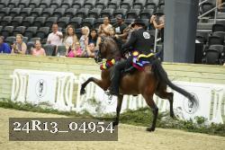 24R13_04954 thumbnail