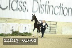 24R13_04962 thumbnail