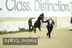 24R13_04964 thumbnail