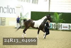 24R13_04966 thumbnail