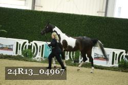 24R13_04967 thumbnail
